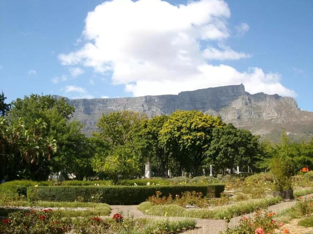 Apartment Taj - Luxury 5 Star - Very Spacious With Kitchenette, Lions Head Views *